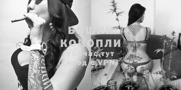 мяу мяу мука Зерноград