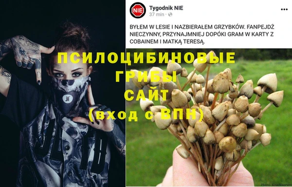 мяу мяу мука Зерноград