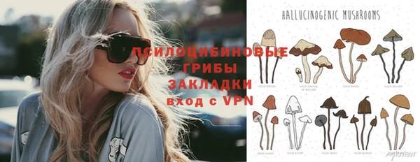 mdma Зеленокумск