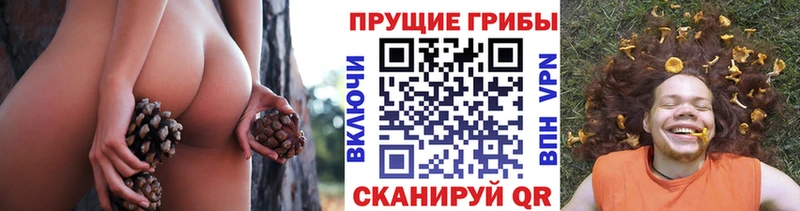 Галлюциногенные грибы прущие грибы  Купить где  Заозёрск 